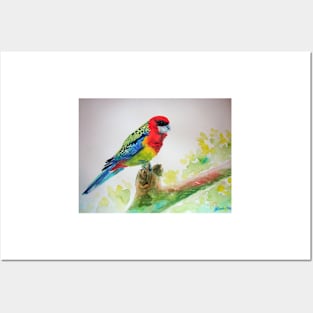 Colourful Rosella On a Branch Watercolor Painting Posters and Art